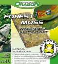 Sphagnum- & Waldmoos